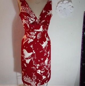 DONNA RICCO NEWYORK BRAND DRESS SIZE 4